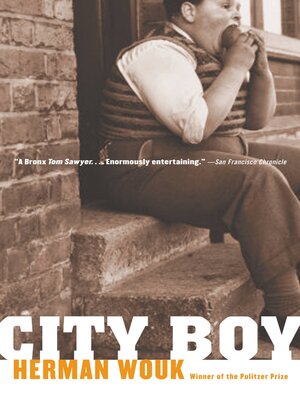 cover image of City Boy